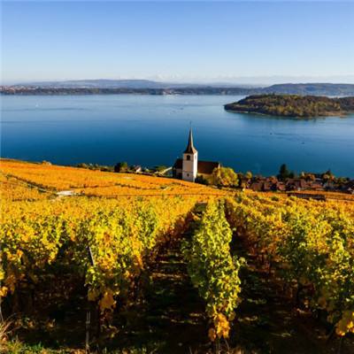 九游会演示说明