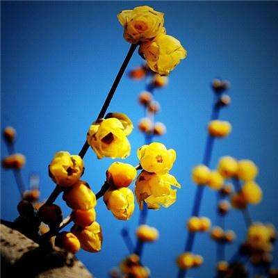 江南体育app下载