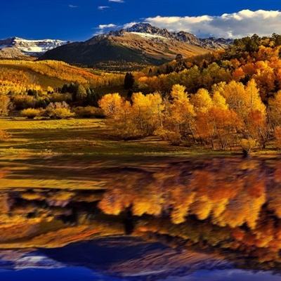 彩信平台官网手机app下载截图