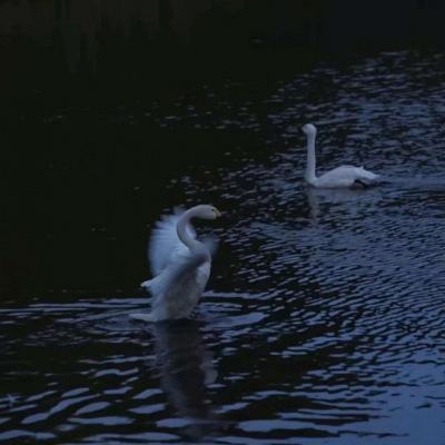 B体育手机版在线下载手机版